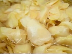 Gengibre